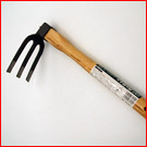 �Ў�����L 